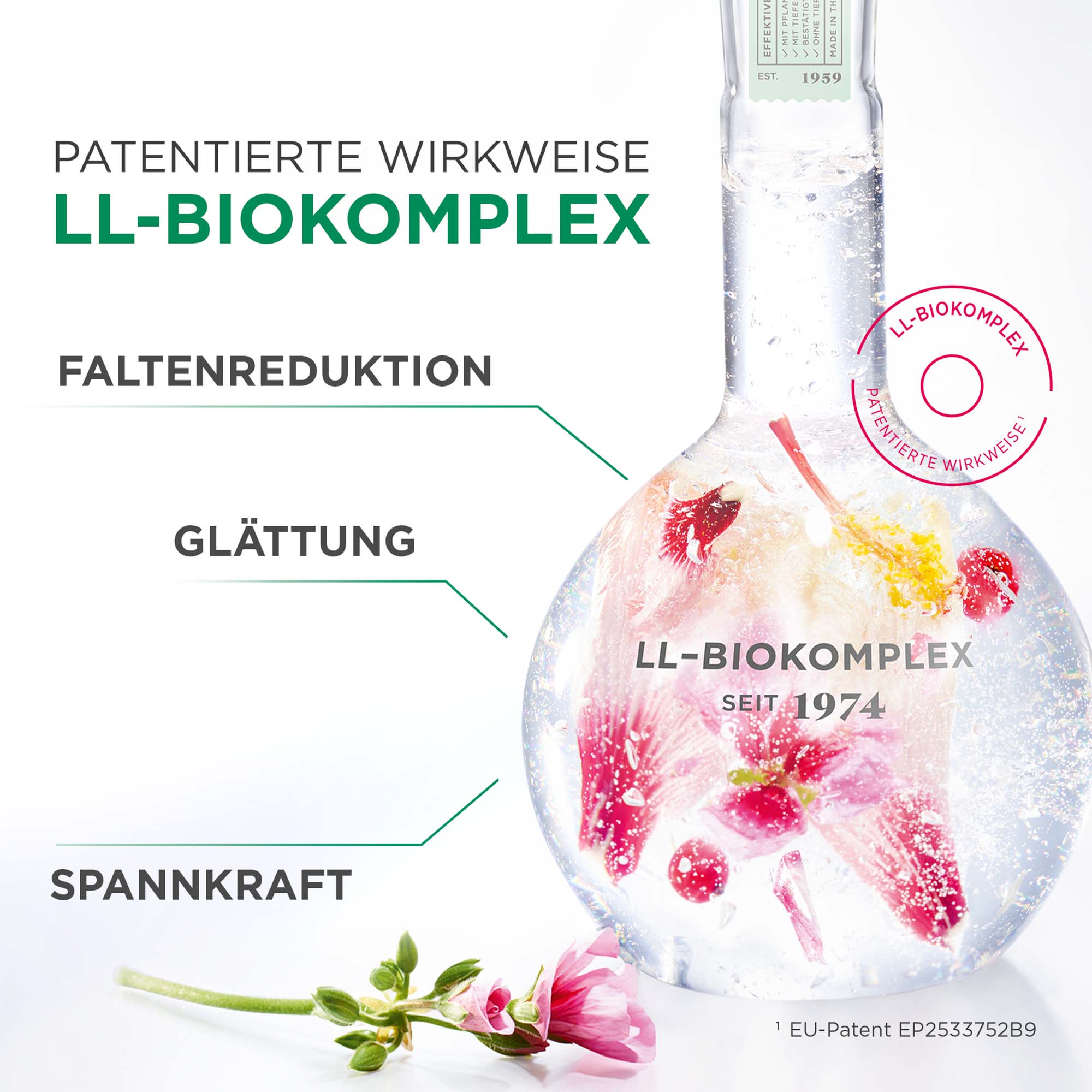 LL Regeneration Belebendes Blütentau-Gel