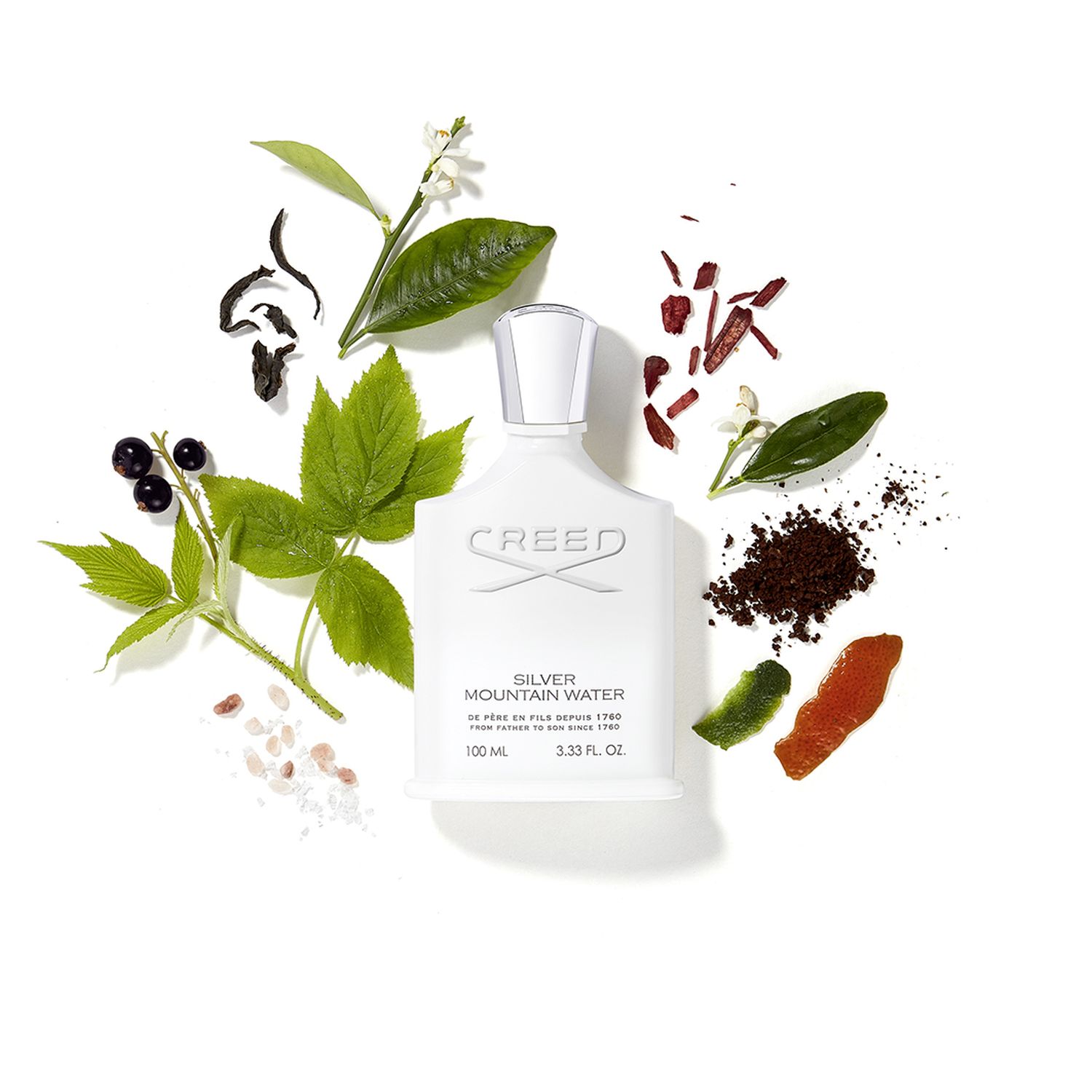 Silver Mountain Water Eau de Parfum