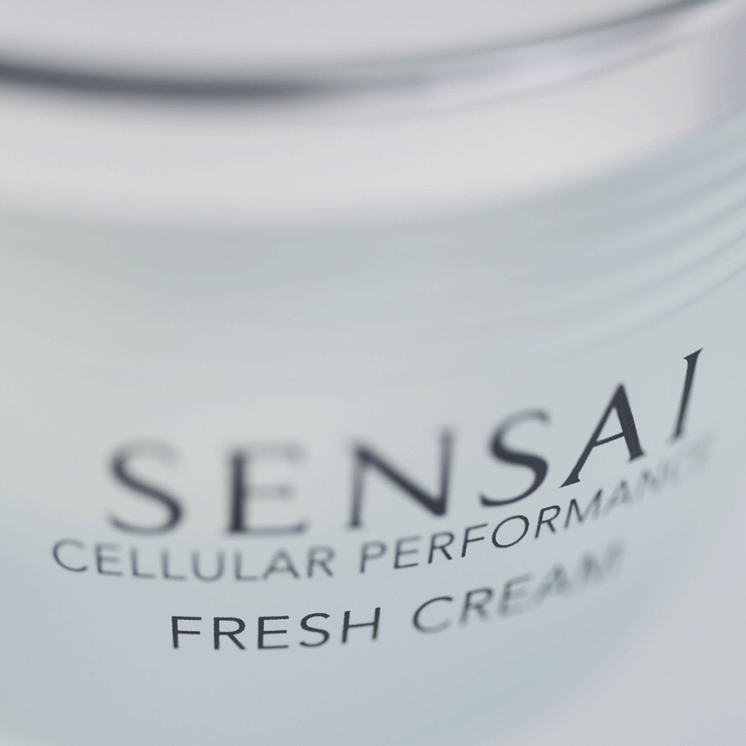 Fresh Cream
