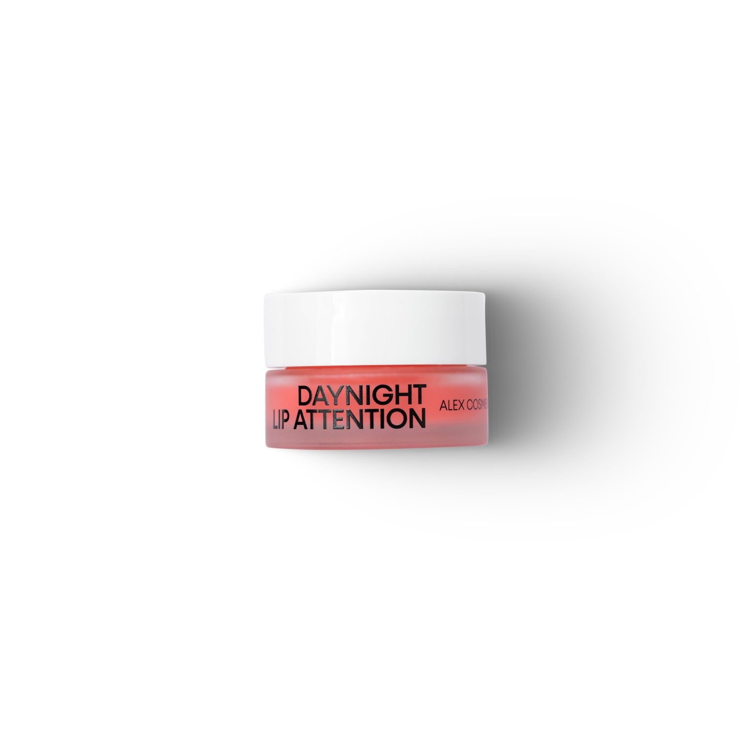 DayNight Lip Attention