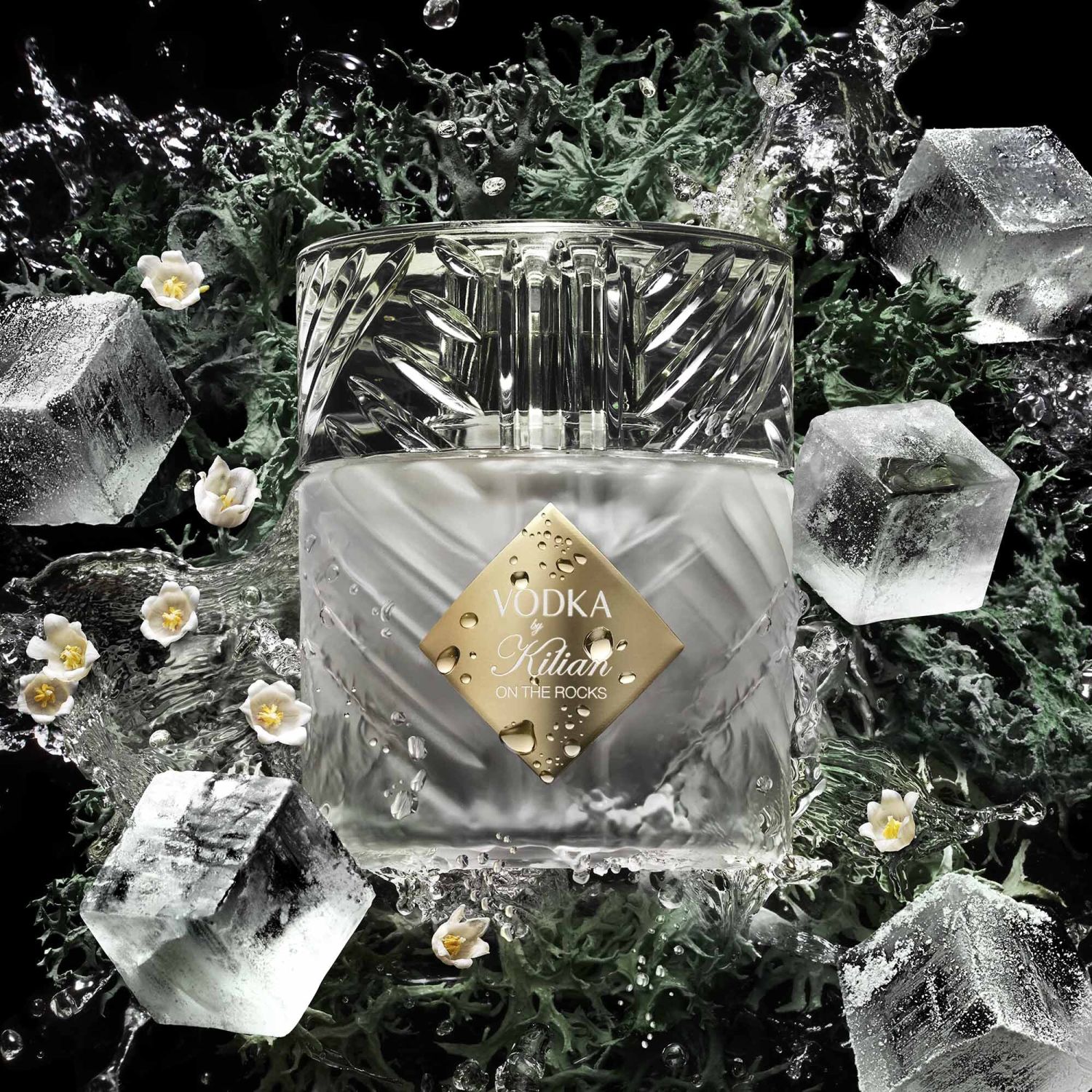 Vodka on the Rocks
