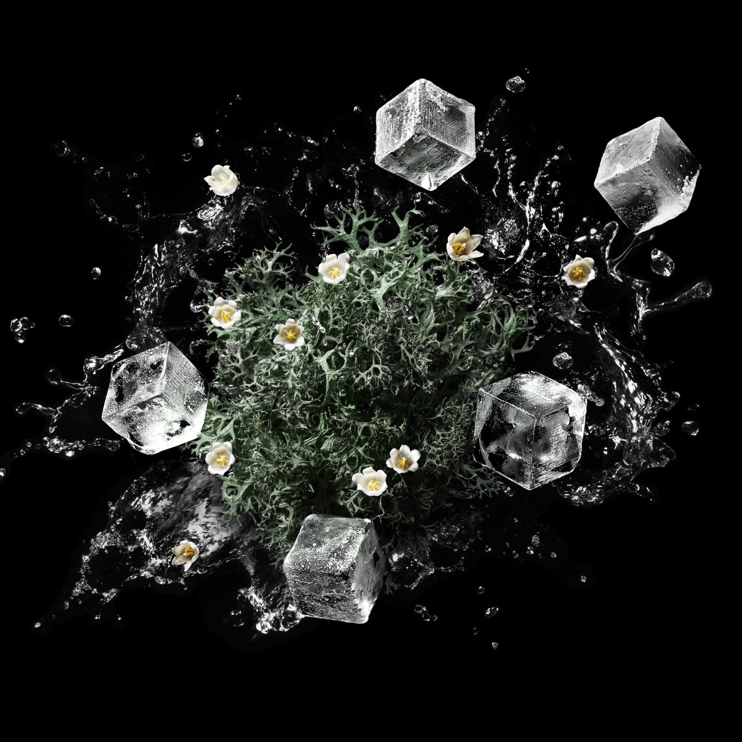 Vodka on the Rocks