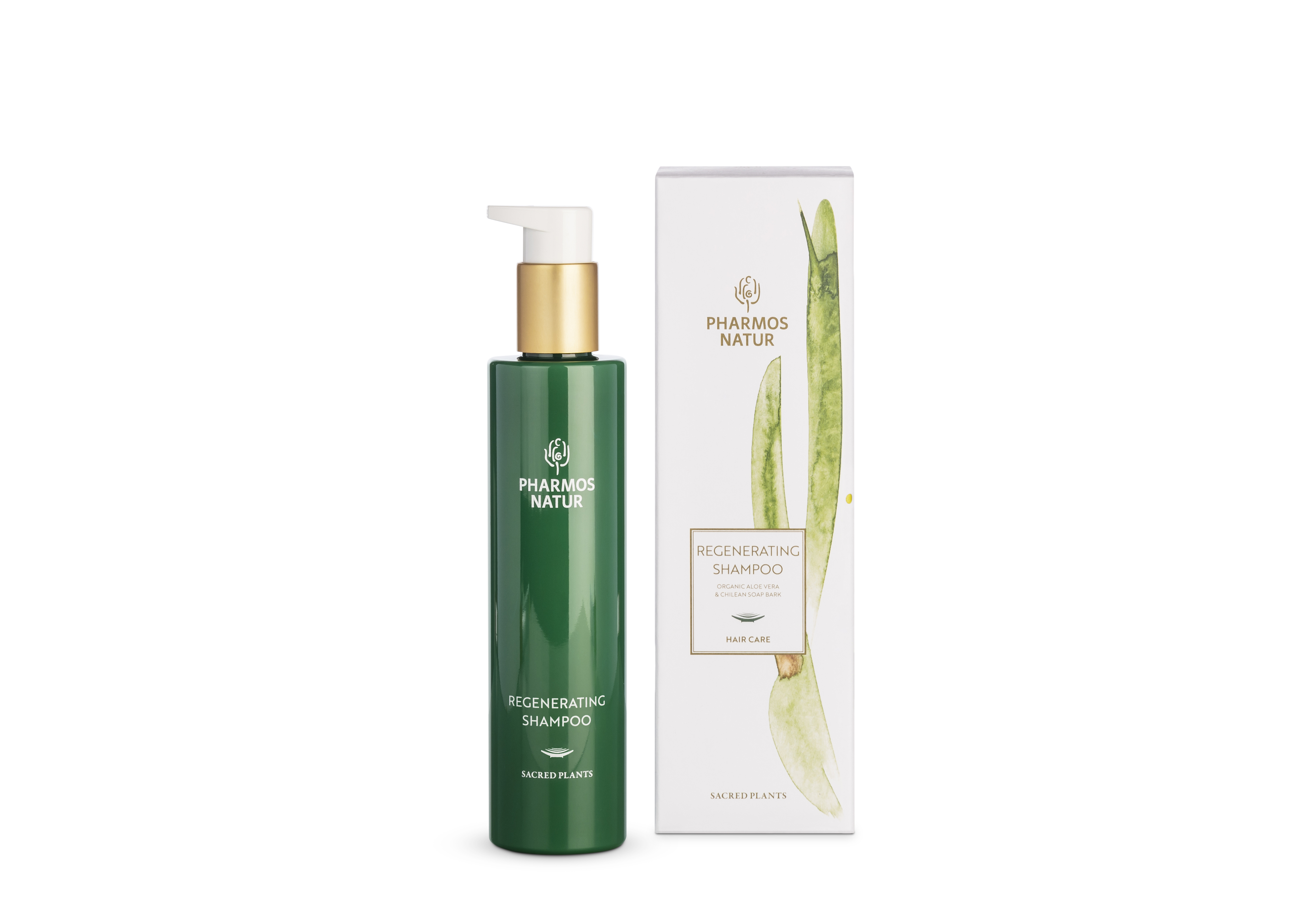 Regenerating Shampoo