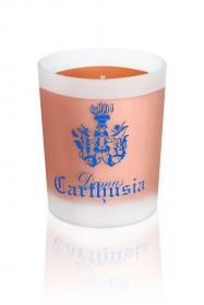 Corallium Candle 
